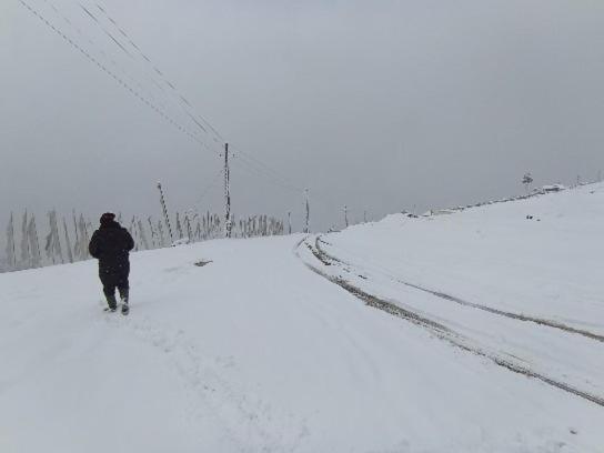 Tseten'S Innラチャング エクステリア 写真